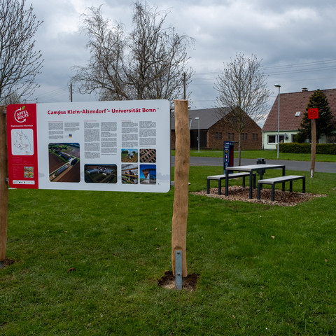 Erlebnisstation _Campus Klein-Altendorf.jpg