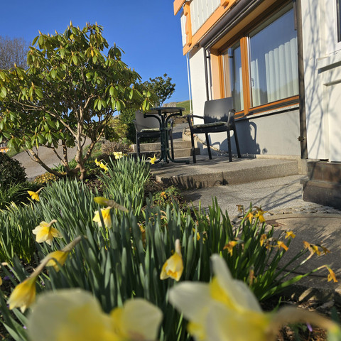 Wohnung in Obertal mit Wintergarten, Gartenansicht