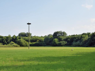 Storchenhorst inmitten einer Feuchtwiese