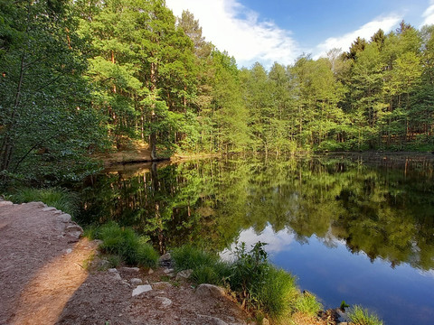 5 Stille genießen am Teich nahe des Forsthauses.jpg