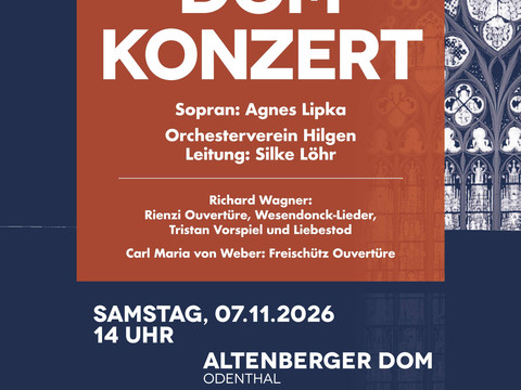 Domkonzert