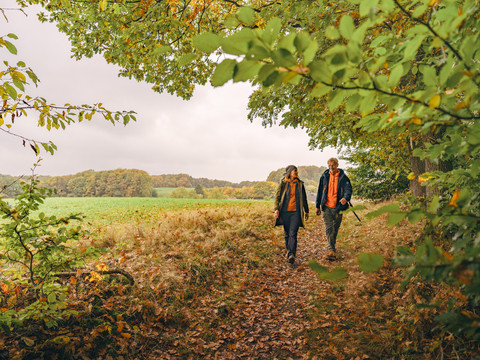 Wandern im Bergischen Zwei Wandernde auf herbstlichem Waldweg bei Radevormwald, umgeben von Feldern und Bäumen