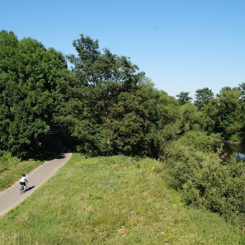 Radweg an der Sieg Radfahrer auf einem schmalen Weg neben einem ruhigen Fluss, umgeben von üppigem Grün und Bäumen.