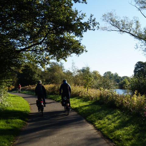 Radweg an der Sieg Zwei Radfahrer fahren auf einem schattigen Waldweg entlang eines Flusses an einem sonnigen Tag.