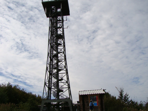 Aussichtsturm Hohe Hardt Ein großer Funkmast steht auf einer Wiese, daneben eine kleine Hütte unter bewölktem Himmel.