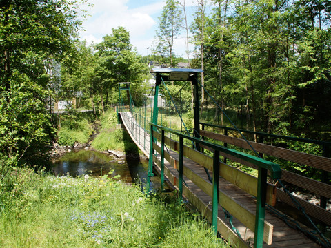 Hängebrücke am Wisser Fluss Hängebrücke in einem Wald, die über einen kleinen Bach führt, umgeben von üppigem Grün.