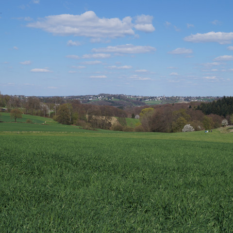 zwischen Wellesberg und Bennerscheid Grüne Wiesen und sanfte Hügel im Vordergrund, blauer Himmel mit Wolken darüber.