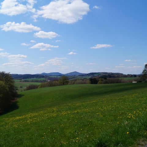 Ausblick hinter Uckerath Weite grüne Wiese mit blühendem Löwenzahn unter blauem Himmel, umgeben von sanften Hügeln.