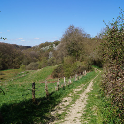 Bergischer Weg hinter Stadt Blankenberg <p>Ländlicher Weg führt vorbei an grünen Wiesen und Bäumen unter klarem blauem Himmel.</p>