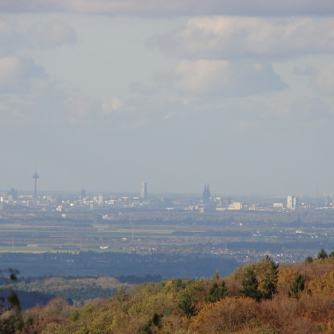 Kölner Dom-Blick vom Drachenfels Blick auf eine weitläufige Landschaft mit Wald im Vordergrund und einer Stadt mit Dom am Horizont.