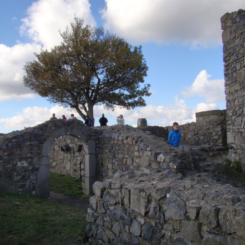 Löwenburg Historische Burgruine mit Steinmauern, architektonischen Details und einem Baum im Hintergrund.