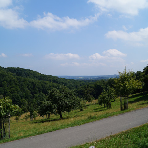 Ausblick an der Löwenburger Obstwiese Grüner, bewaldeter Hügel unter blauem Himmel mit paar Wolken, Weg durch saftige Wiesen führt.