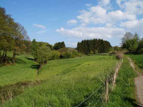 Bergischer Weg Etappe 3 Eine grüne, weitläufige Wiesenlandschaft mit Feldweg, Bäumen und blauem Himmel mit Wolken.