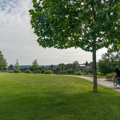 Weser-Radweg bei Beverungen