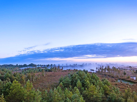 Weiter Blick über das vernebelte Huvenhoopsmoor Weiter Blick über das vernebelte HuvenhoopsmoorWide view over the foggy HuvenhoopsmoorVid udsigt over det tågede HuvenhoopsmoorWeids uitzicht over het mistige Huvenhoopsmoor