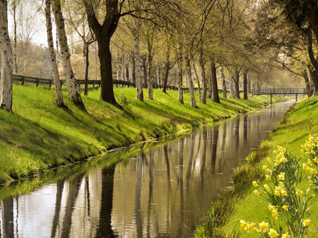 Von Birken und gelben Blumen umrahmter Oste-Hamme-Kanal Von Birken und gelben Blumen umrahmter Oste-Hamme-KanalOste-Hamme Canal framed by birch trees and yellow flowersOste-Hamme-kanalen indrammet af birketræer og gule blomsterHet kanaal Oste-Hamme omringd door berkenbomen en gele bloemen