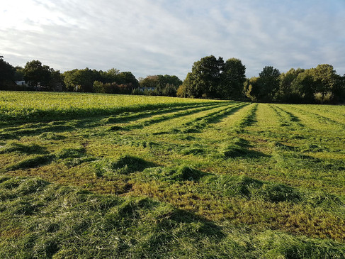 landschaft-der-samtgemeinde-uelsen-1