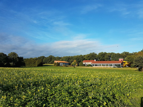 landschaft-der-samtgemeinde-uelsen-3