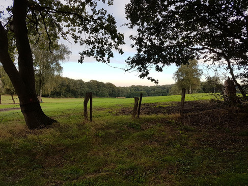 landschaft-der-samtgemeinde-uelsen