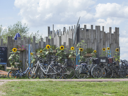 Fahrräder stehen vor Holzzaun mit blühenden Sonnenblumen, Himmel teils bewölkt.