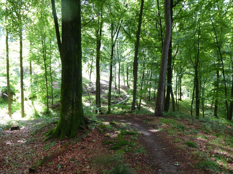 wanderweg3