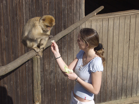 18_21_berberaffen-im-affen-und-vogelpark_reichhofs-eckenhagen_kurverwaltung-reichshof
