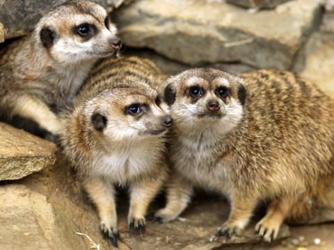 bergisches-land-55-copy