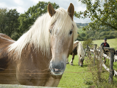 5ddfe57435a13_f392739