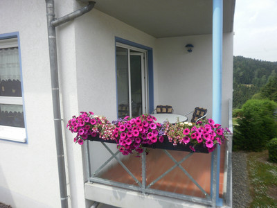 Haus Dreitälerblick in Altenau - Balkon