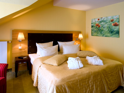 Hotel Habichtstein - Zimmerbeispiel