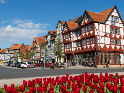 Café Schlüter am Holzmarkt
