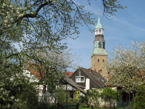 Bloeiende bomen omlijsten een rustieke kerktoren met huizen met rode daken op de achtergrond.