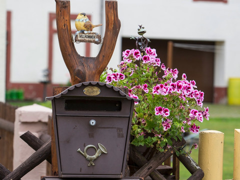 Briefkasten aus Holz und Metall mit Zeitungsfach, daneben blühende Geranien und Bauernhaus.Wooden and metal letterbox with newspaper compartment, with flowering geraniums and farmhouse next to it.Dřevěná a kovová poštovní schránka s přihrádkou na noviny, vedle ní kvetoucí muškáty a statek.Drewniana i metalowa skrzynka na listy z przegródką na gazety, obok kwitnące pelargonie i domek gospodarczy.Houten en metalen brievenbus met krantenvak, met bloeiende geraniums en boerderij ernaast.Cassetta delle lettere in legno e metallo con scomparto per giornali, con gerani in fiore e cascina accanto.