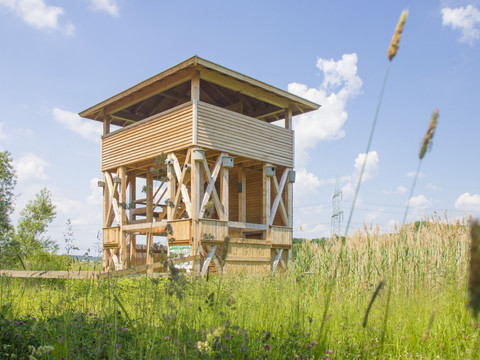 Beobachtungsturm Friesnitzer See