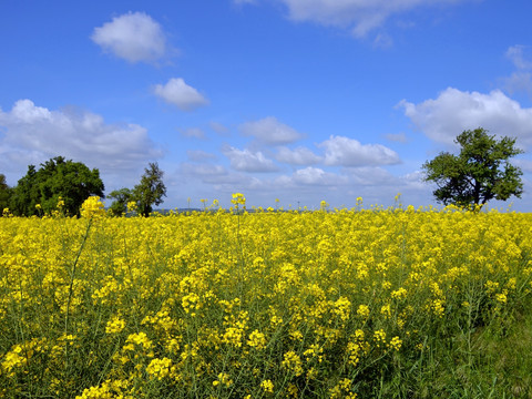 Lutherweg bei Kriebstein