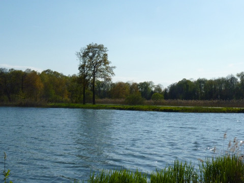 Großer Holschaer Teich