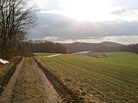 Feldweg zum Großstein