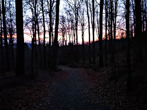 Weg zurück in Kirnitzschtal