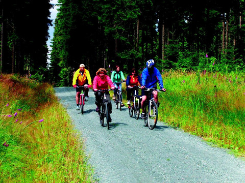 image Sechs Radfahrer auf einem Schotterweg durch einen dichten, grünen Wald.Six cyclists on a gravel path through a dense, green forest.Šest cyklistů na štěrkové cestě hustým zeleným lesem.Sześciu rowerzystów na szutrowej ścieżce przez gęsty, zielony las.Zes fietsers op een grindpad door een dicht, groen bos.Sei ciclisti su una pista di ghiaia attraverso una fitta foresta verde.