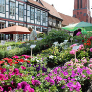 Wochenmarkt Nienburg