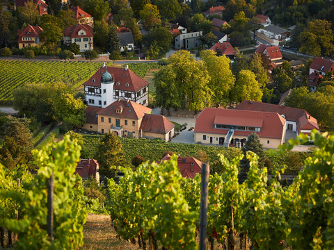 Gesamtanlage Hoflößnitz