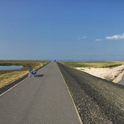 Panorama des Mövenbergdeichs in List