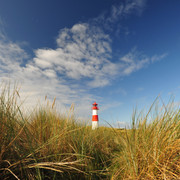 Leuchtturm List-West in den Dünen