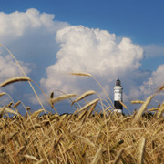 Leuchtturm in Kampen