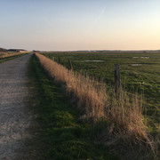 Kiesweg in den Tinnumer Wiesen