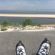 Inlinerroute direkt am Wasser