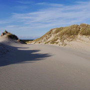 Die Wanderdünen auf Sylt sind in Deutschland einzigartig.