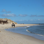 Ein Spaziergang rund um die Hörnum Odde bietet Wellen, Wind und Weitblick.