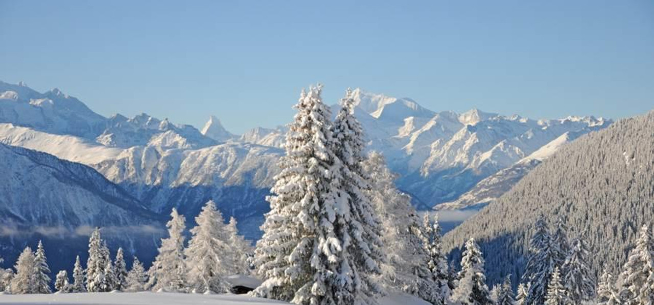 Chalet Favorite Parterre -Ausblick Südterrasse