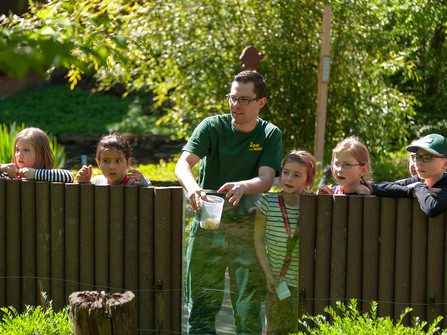 Wingster Waldzoo Tierpfleger mit Kindern am Gehege im Wingster Waldzoo bei sonnigem Wetter und grüner Naturumgebung